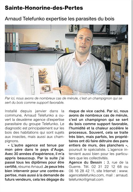 Article Agence Téléfunko